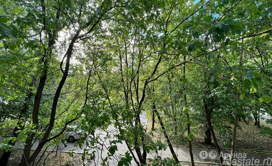 Аренда 1-комн квартиры на вторичном рынке Полоцкая улица,  д. 16