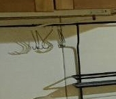 Сдать в аренду Квартиры вторичка Зверинская улица  36 