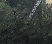 Продать Дачи, коттеджи, загородные дома д. Сярьги, улица Центральная, 30   