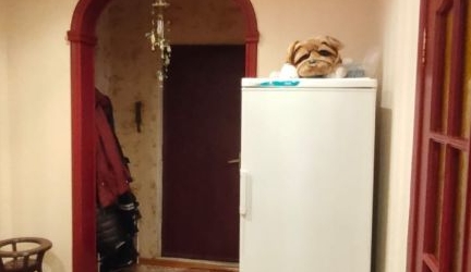 3-комн квартира улица Авиаконструктора Миля, 4к1