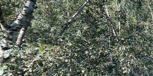 2-комн квартира улица Тельмана, 32К5