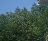 Продать Дачи, коттеджи, загородные дома Полевой садоводческий массив  344 