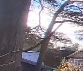 Продать Дачи, коттеджи, загородные дома Лебяжье городской поселок, улица Степаняна, 13   