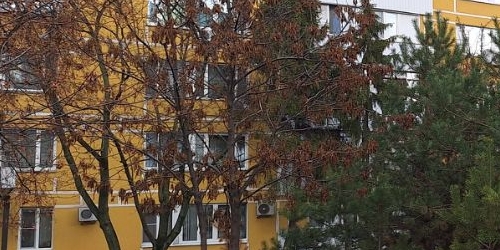 Комната Ясеневая улица, 39