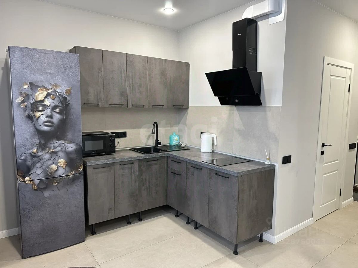 Продажа студии Старая Купавна, улица Трудовая, 19А
