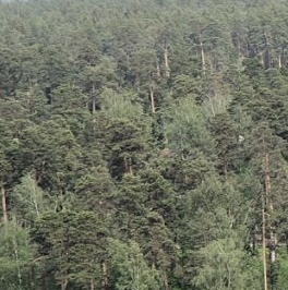 Продажа 1-комн квартиры на вторичном рынке Пушкино, Ярославское шоссе, 192 Продажа 1-комн квартиры на вторичном рынке Пушкино, Ярославское шоссе, 192