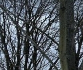 Продать Дачи, коттеджи, загородные дома д. Петровское, улица Светлая   