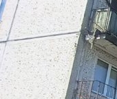 Продать Квартиры вторичка д. Большие Колпаны, улица Садовая, 3   