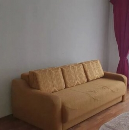 Аренда 1-комн квартиры на вторичном рынке улица Антонова-Овсеенко,  д. 4