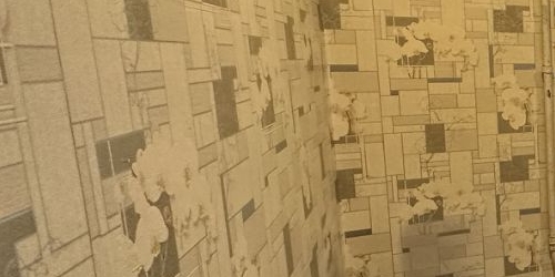 3-комн квартира Просторная улица, 10К1