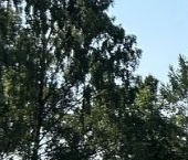 Продать Квартиры вторичка Ярославский проспект, 95   