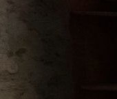 Сдать в аренду Комнаты в квартирах переулок Матюшенко, 10   