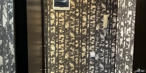 1-комн квартира Петергоф г., Братьев Горкушенко ул. ,  д. 9,  к. 1