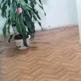 Аренда 1-комн квартиры на вторичном рынке Высокая улица, 12 Аренда 1-комн квартиры на вторичном рынке Высокая улица, 12