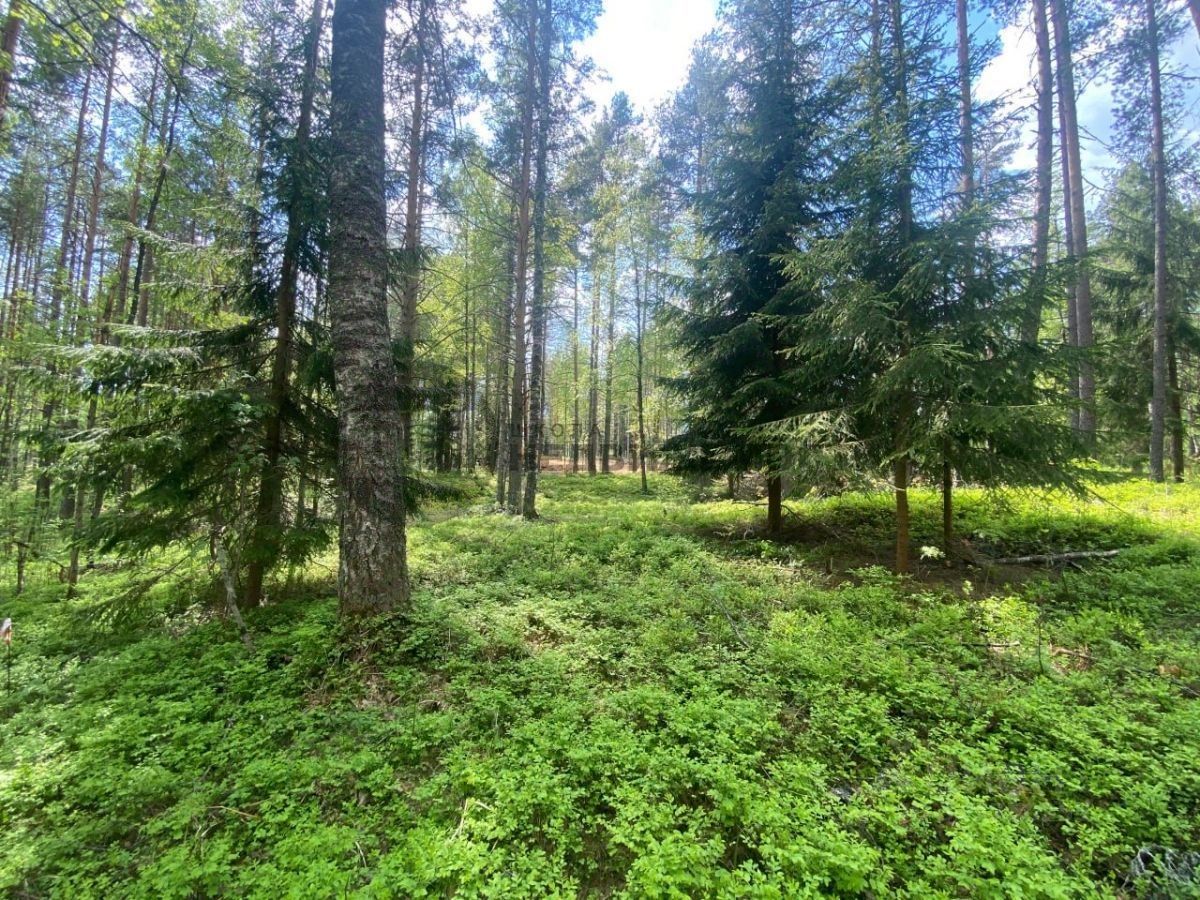 Продажа земли Зеркальный мкр, д. Васкелово