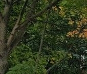 Продать Квартиры вторичка проспект Тореза, 98К2   