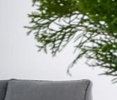 Сдать в аренду Квартиры вторичка улица Рылеева, 21   