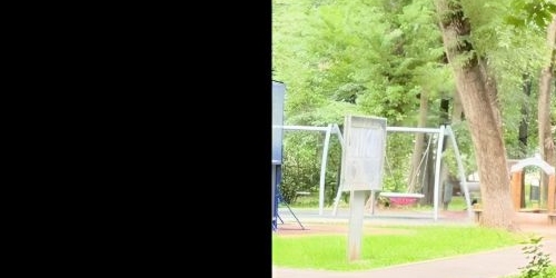 2-комн квартира Малый Песчаный переулок, 2