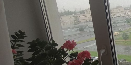 4-комн квартира Колпино, улица Металлургов, 3