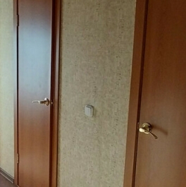 Продажа 1-комн квартиры на вторичном рынке Всеволожск, ул Малиновского,  д. 10