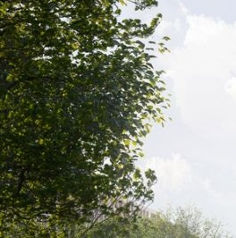 Продажа 2-комн квартиры на вторичном рынке улица Профессора Попова, 38Е Продажа 2-комн квартиры на вторичном рынке улица Профессора Попова, 38Е