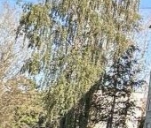 Продать Квартиры вторичка Воскресенск, улица Ломоносова, 98   