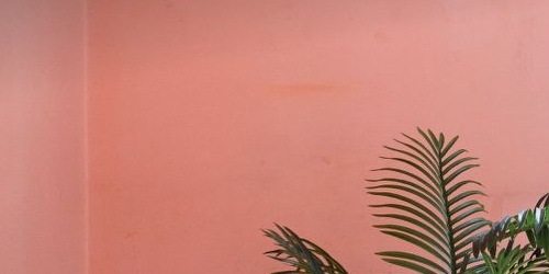 3-комн квартира Малоохтинский проспект, 36