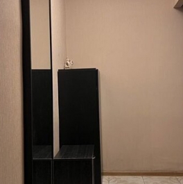 Аренда 1-комн квартиры на вторичном рынке ул Вольная,  д. 1