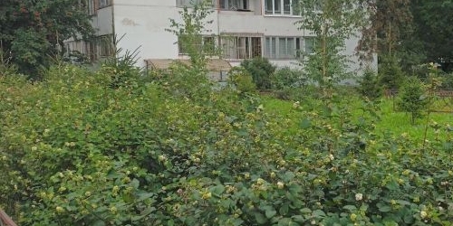 1-комн квартира улица Добровольцев, 16