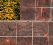 Продать Квартиры вторичка с. Павлово, улица Быкова, 25   