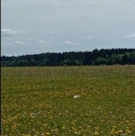 Продажа земли д. Горки, 23А