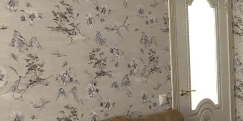 3-комн квартира Морской проспект, 33