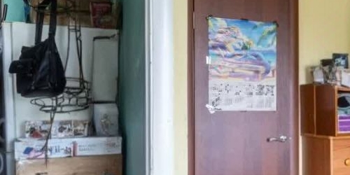 1-комн квартира Полюстровский проспект, 9