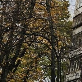 Продажа 2-комн квартиры на вторичном рынке проезд Шокальского, 59К2 Продажа 2-комн квартиры на вторичном рынке проезд Шокальского, 59К2