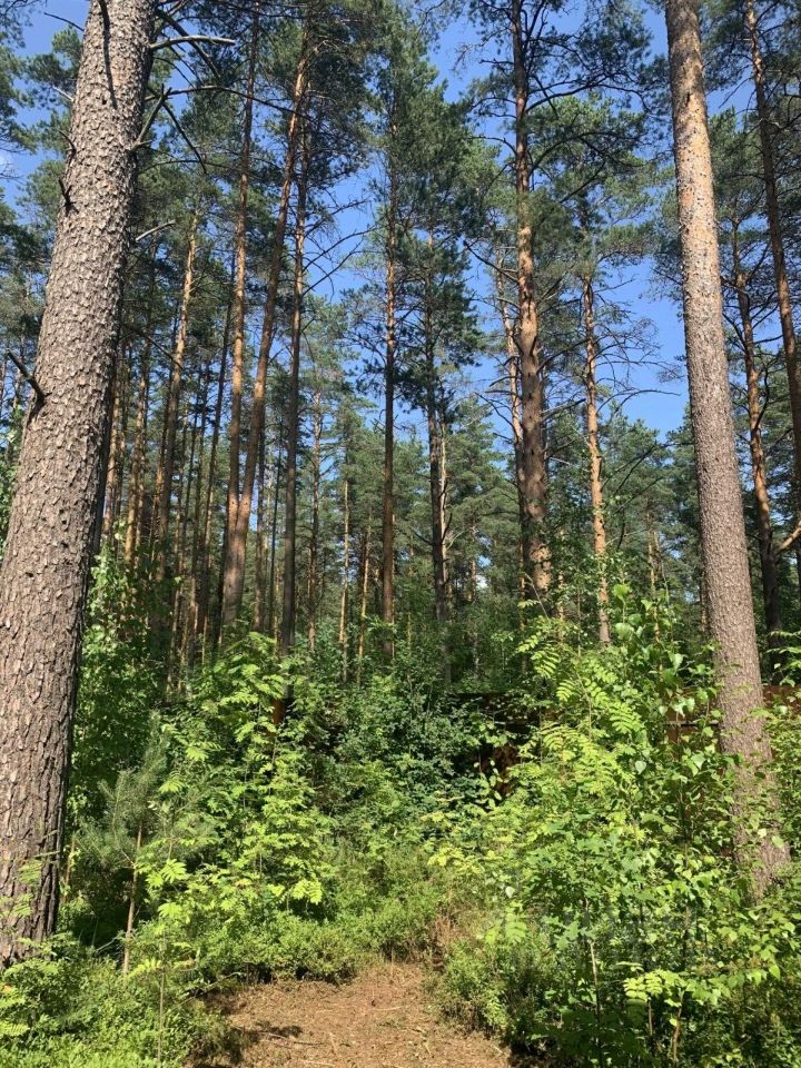Продажа дома Вырица городской поселок, переулок Еленинский