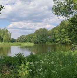 Продажа земли Ванвилладж, ул Рубиновая,  д. 23