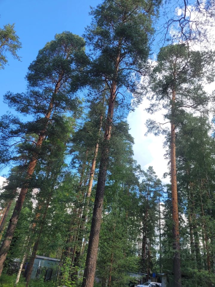 Продажа земли Всеволожск, проспект Козлова