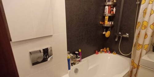 1-комн квартира Пироговская М. ул,  д. 22