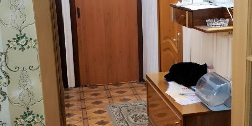 2-комн квартира Ломоносов, улица Скуридина, 2