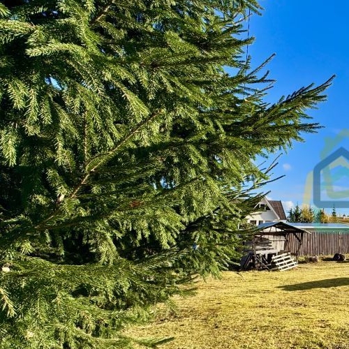 Земельный участок Прогресс-1 СНТ, 378