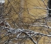 Продать Квартиры вторичка Пушкин, Магазейная улица, 32   