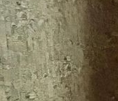 Продать Квартиры вторичка Королев, проспект Космонавтов, 8   