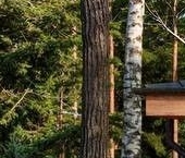 Продать Дачи, коттеджи, загородные дома Павловск, Звериницкая улица   