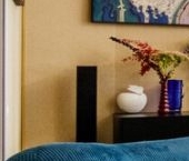 Сдать в аренду Квартиры вторичка Каменноостровский проспект, 56к2   