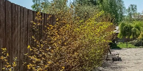 Коттедж/дом пос. Песочный, улица Новостроек, 47