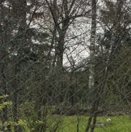 Продажа дома Заря-2 СНТ, 75 Продажа дома Заря-2 СНТ, 75