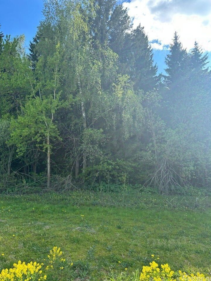 Продажа земли Шишкино, 46Н-01536