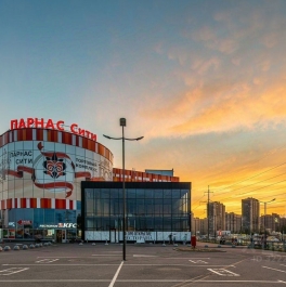 Аренда торгового помещения Парголово п, Михаила Дудина ул,  д. 4,  к. 1 стр 1