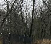 Продать Земельные участки, земля Виль-Парк кп, д. Вильповицы  29 