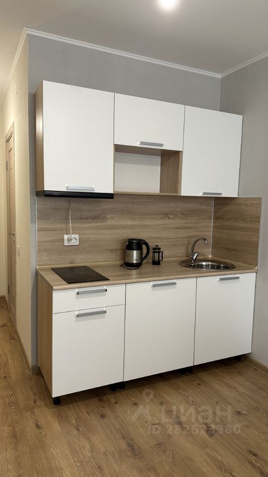 Аренда студии пос. Парголово, проезд Толубеевский, 8к2